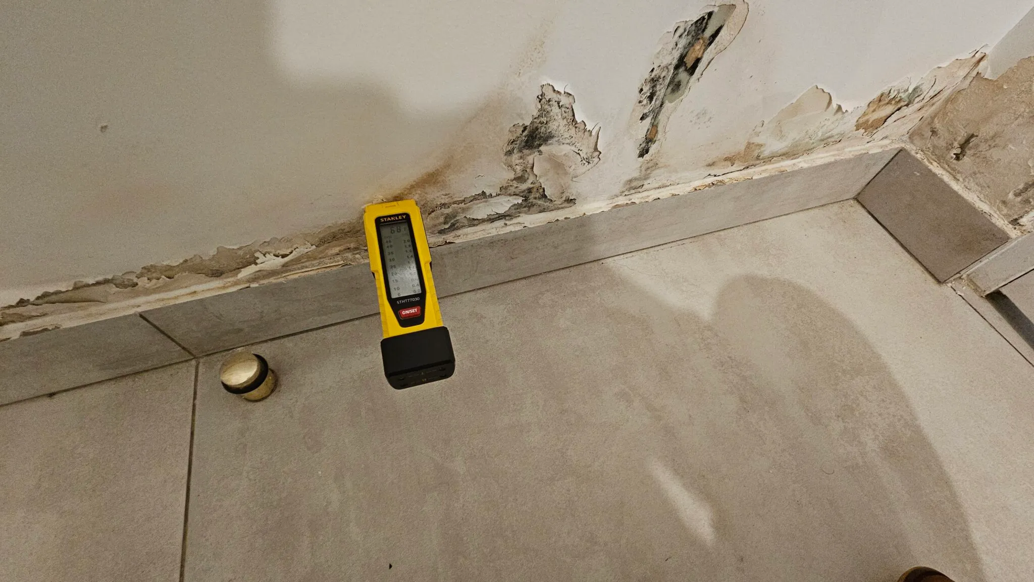 mur humide moisissure noire chambre expert humidité