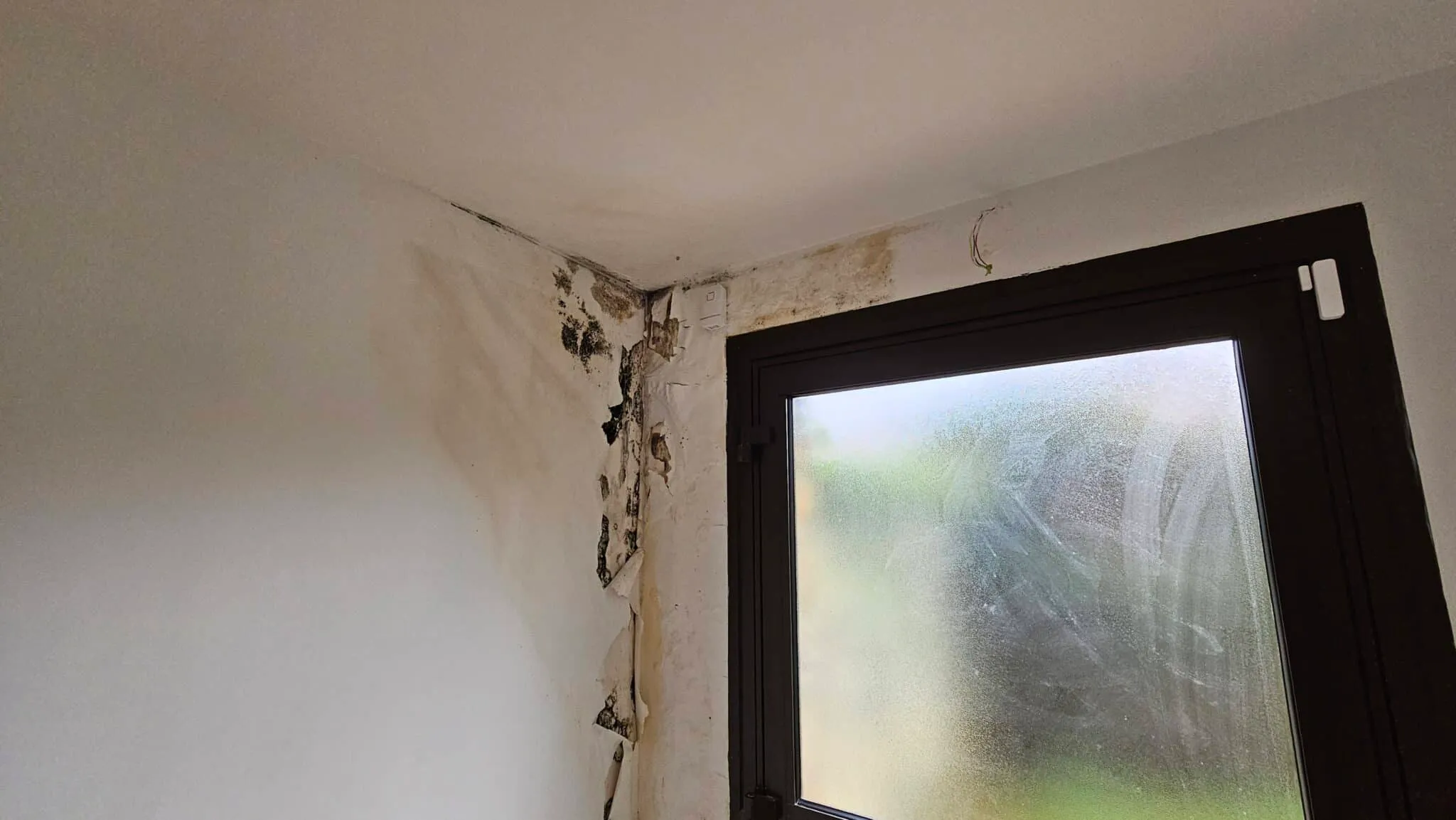 malfaçons construction maison défaut étanchéité toiture expertise prise en charge garantie décennale